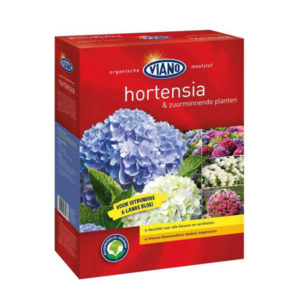 Hortensia mest